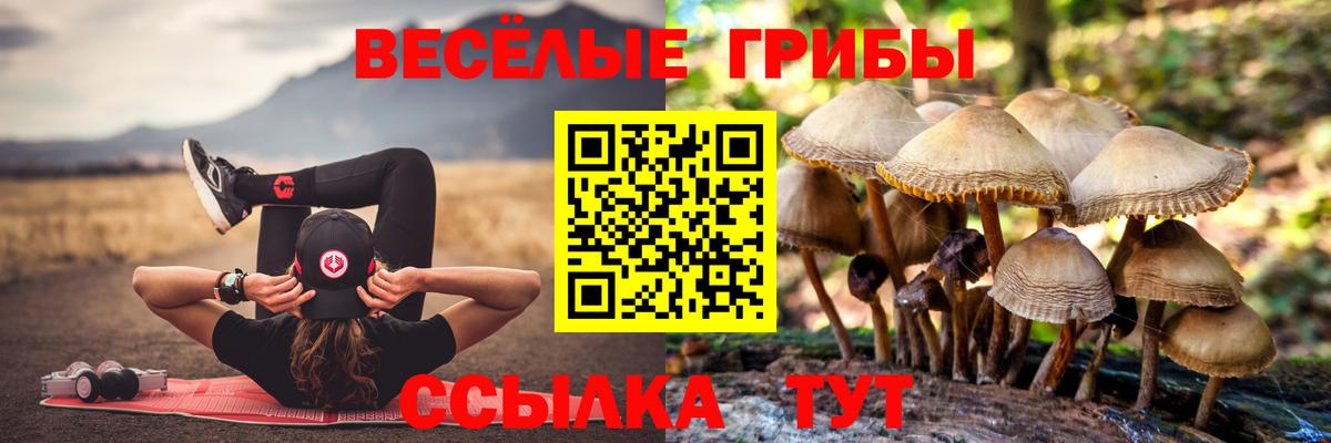 Псилоцибиновые грибы Magic Shrooms  хочу   Заводоуковск  Вход с VPN 